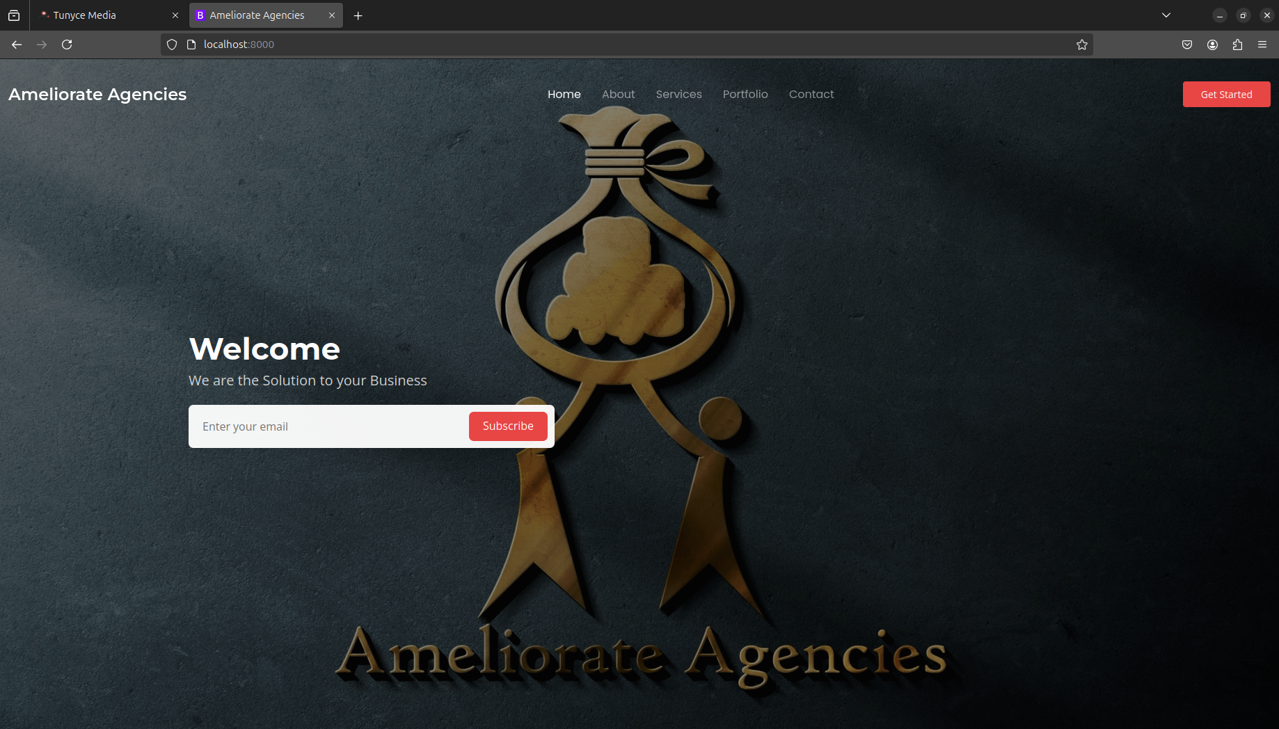 Ameliorate Agencies Website